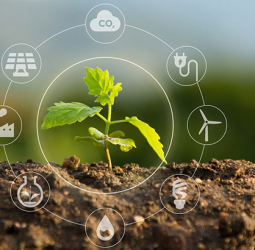 Sustentabilidade: Uma Agenda Inadiável